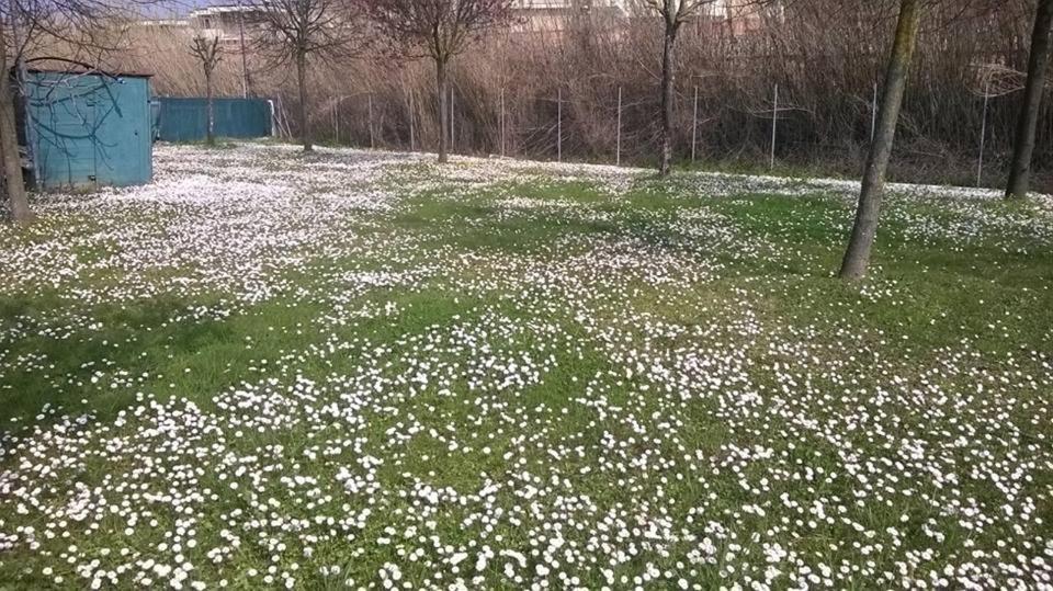 Hotel Rosati Rimini Kültér fotó